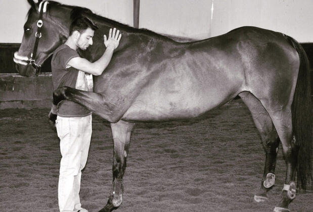 Orfe Tatil Köyü - Görsel 9