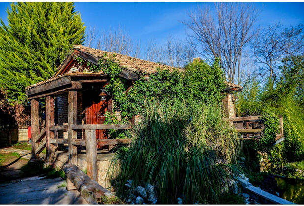 Orfe Tatil Köyü - Görsel 12