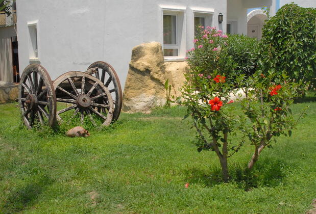 Sun Club Hotel - Görsel 5