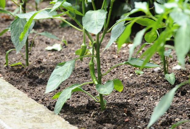 Ontur Butik Otel - Görsel 26