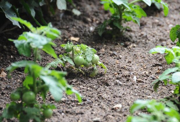 Ontur Butik Otel - Görsel 33