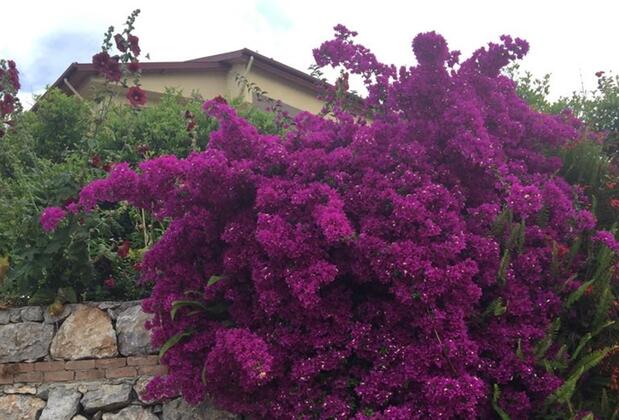 Surf Apart Otel - Görsel 26