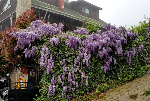 Erkansas City - Görsel 35