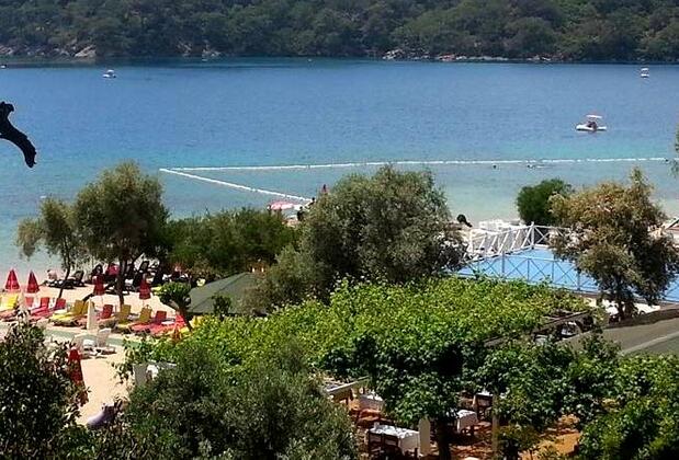 Villa Palm - Görsel 12