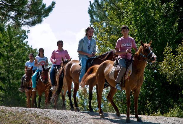 Daday Barış Atlı Turizm - Görsel 17