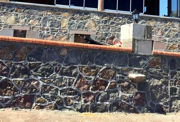 Sivrice Yakamoz Motel - Görsel 3