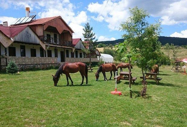 Daday Barış Atlı Turizm - Görsel 9