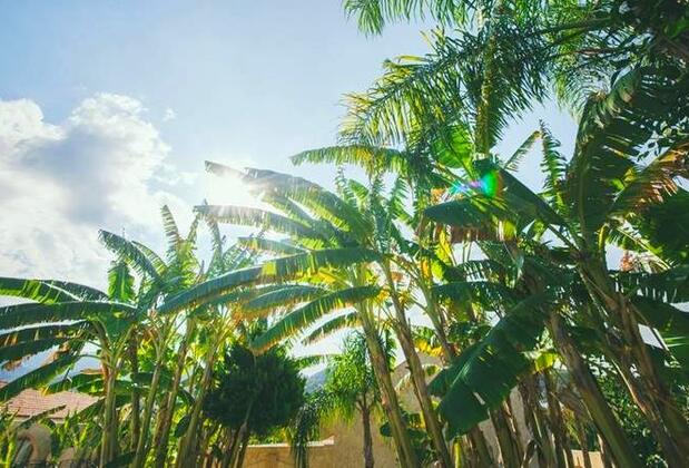 Haseki Hürrem Otel - Görsel 14