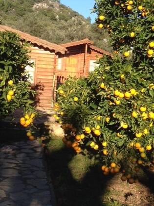 Nadi Club - Görsel 18