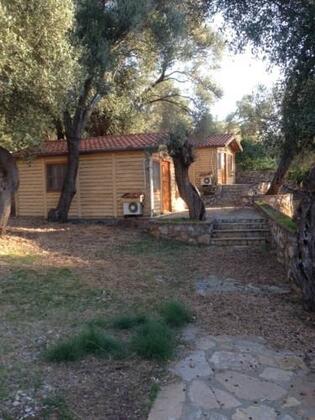 Nadi Club - Görsel 17