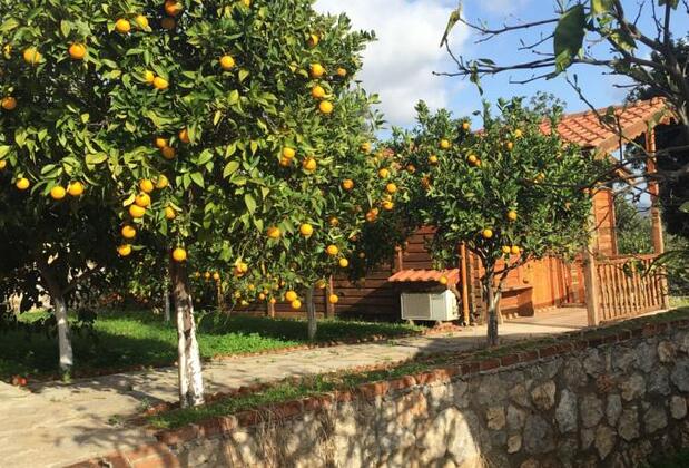 Nadi Club - Görsel 14