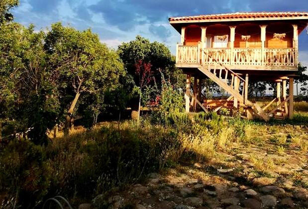 Yaşayan Köy Müze Otel - Görsel 18