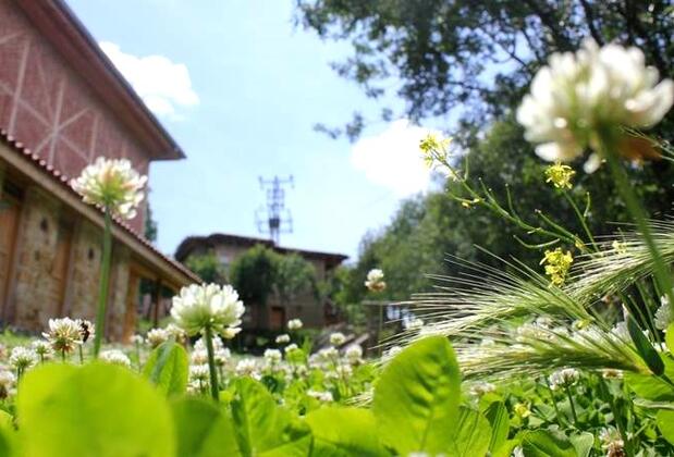 Yaşayan Köy Müze Otel - Görsel 16