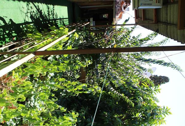 Lazer Pansiyon - Görsel 38