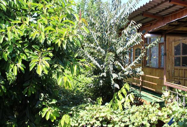 Lazer Pansiyon - Görsel 4