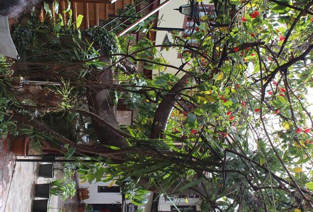 Lazer Pansiyon - Görsel 30