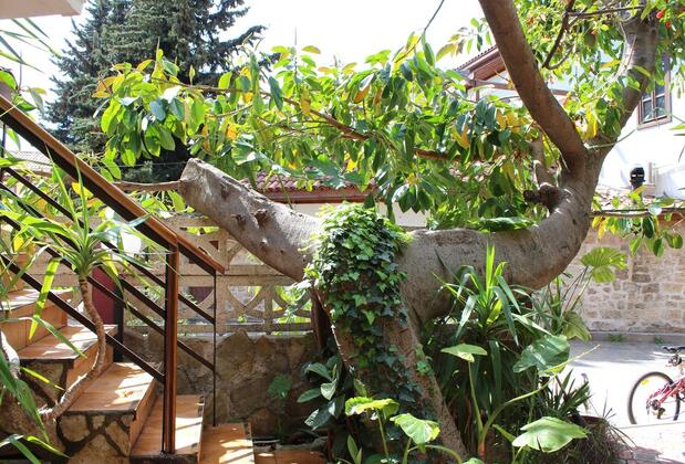 Lazer Pansiyon - Görsel 17