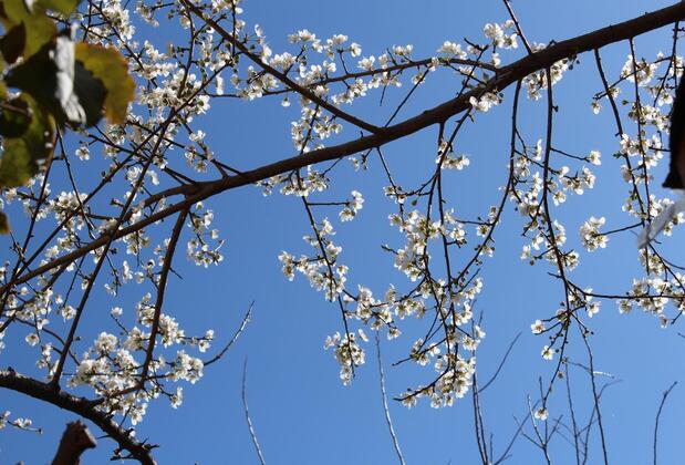 Lazer Pansiyon - Görsel 6