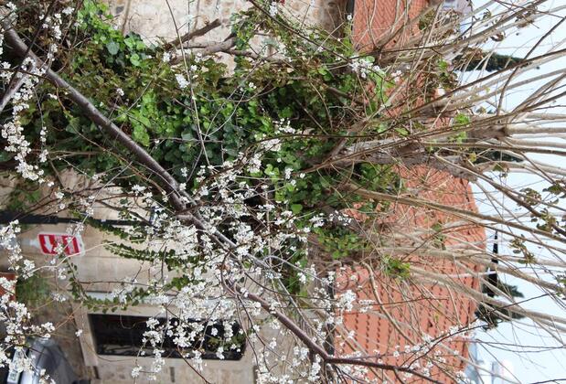 Lazer Pansiyon - Görsel 31