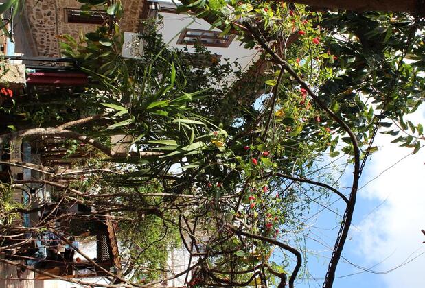 Lazer Pansiyon - Görsel 25