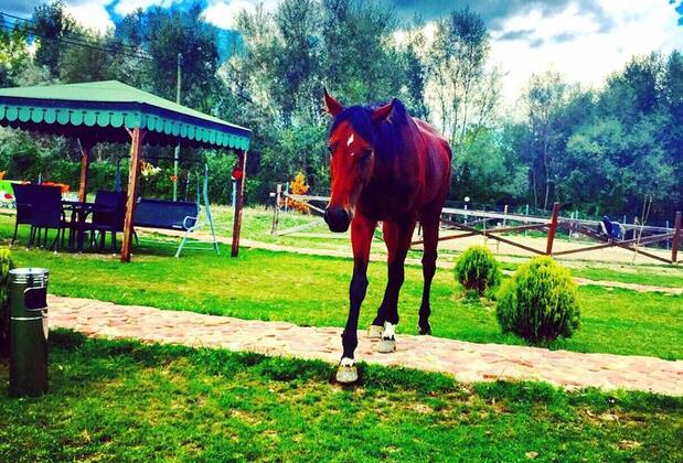 Emirbey Atlı Turizm ve Doğal Yaşam Köyü - Görsel 6