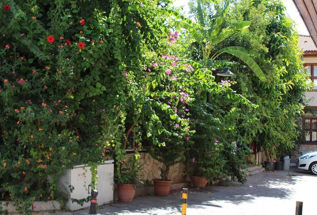 Lazer Pansiyon - Görsel 23