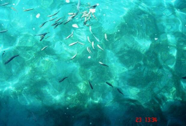 Çardak Apart Otel - Görsel 12