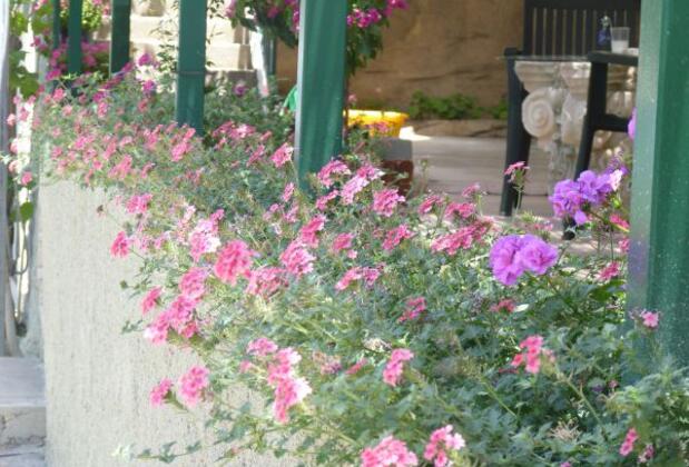 Çardak Apart Otel - Görsel 40