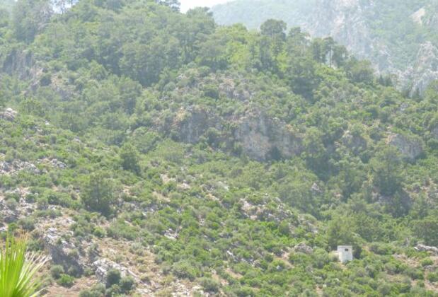 Çardak Apart Otel - Görsel 19