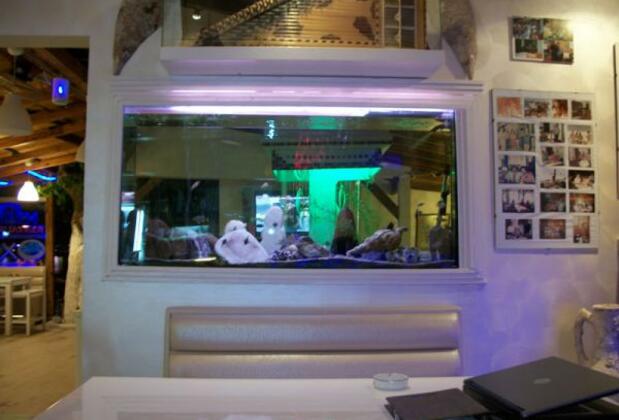 Han Hotel Turunç - Görsel 3