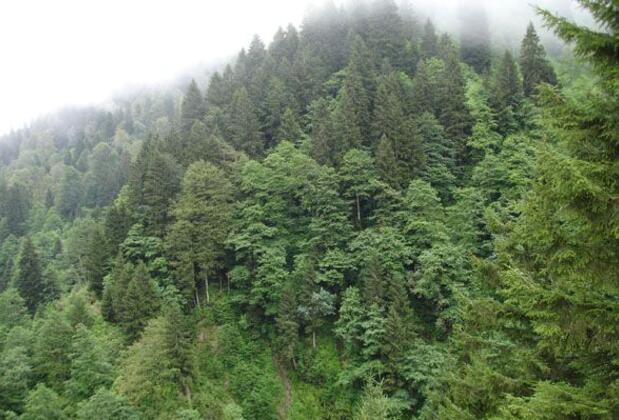 Vesile Otel - Görsel 7