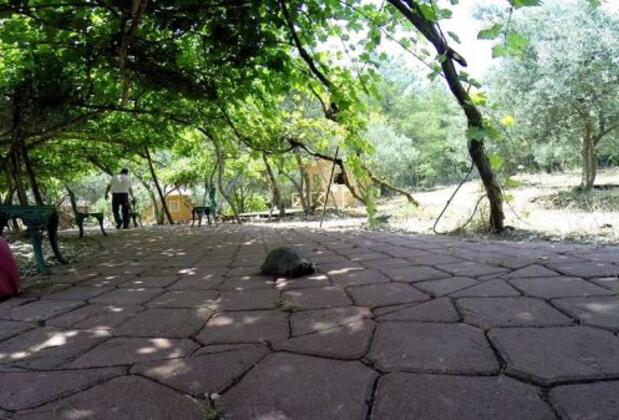 Ölüdeniz Doğa Kamp - Görsel 9