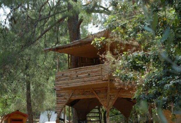 Ölüdeniz Doğa Kamp - Görsel 8