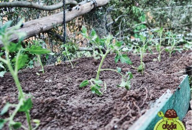 Ölüdeniz Doğa Kamp - Görsel 5