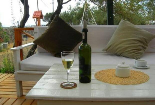 Assos Club Beyaz - Görsel 11