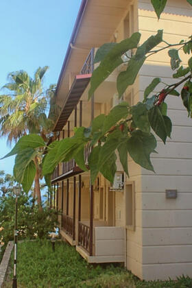 Alonya Beach Hotel - Görsel 36