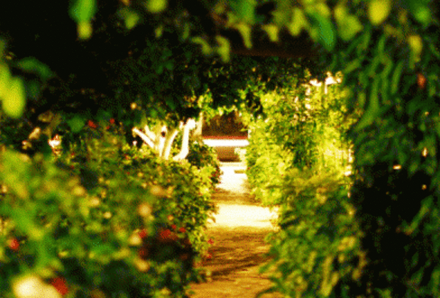 Gayb-i Boutique Home Hotel  - Görsel 18