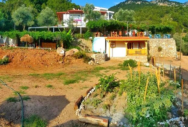 Faralya Hotel Nihan's Kitchen - Görsel 9