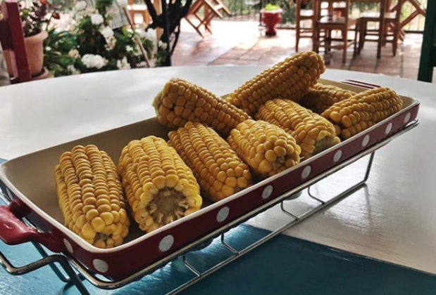 Faralya Hotel Nihan's Kitchen - Görsel 7