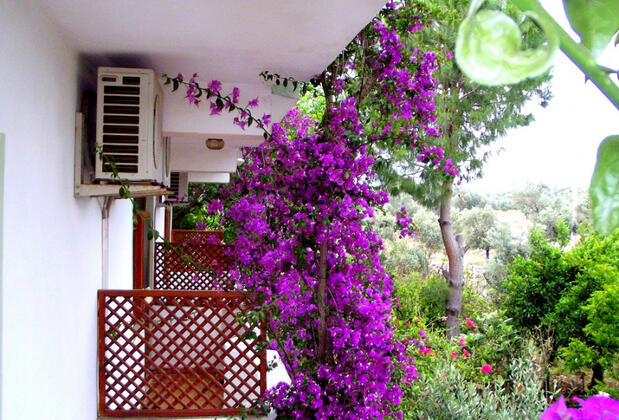 Zeybek 2 Apart & Pansiyon - Görsel 4