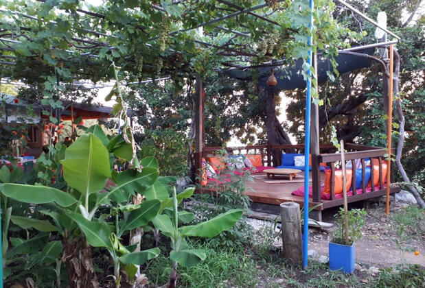 Suleyman's Garden - Görsel 32