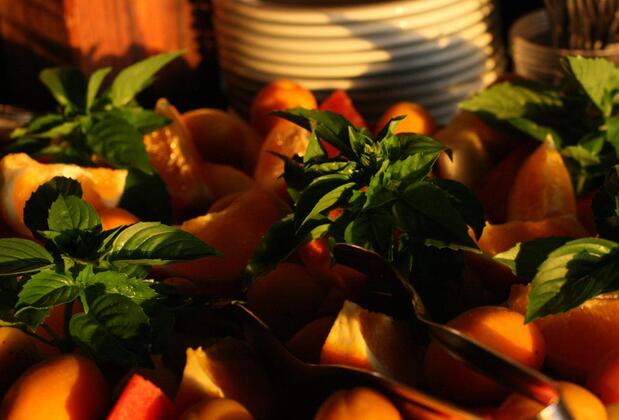 Suleyman's Garden - Görsel 24