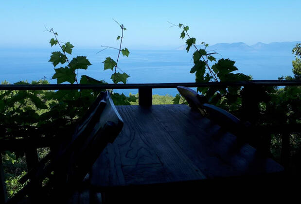 Suleyman's Garden - Görsel 31