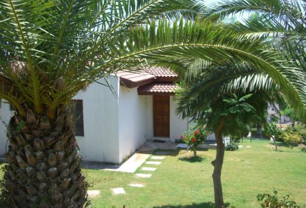 Club Petya - Görsel 6