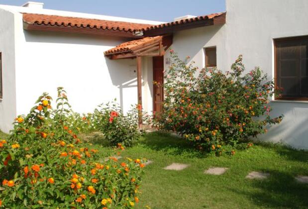 Club Petya - Görsel 8