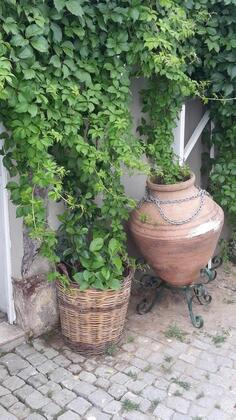 Gümüşlü Butik Otel - Görsel 6