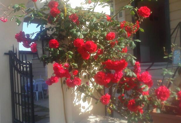 Ağva Villa D'or Butik Otel - Görsel 16