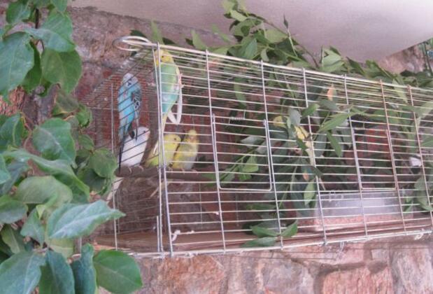 Bodrum Ege Evleri - Görsel 8