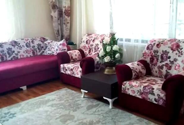 Gazlıgöl Şifa Termal Villaları - Görsel 3