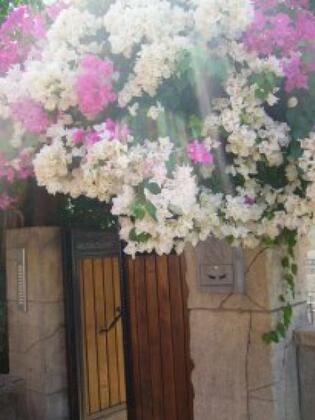 Bodrum Ege Evleri - Görsel 15